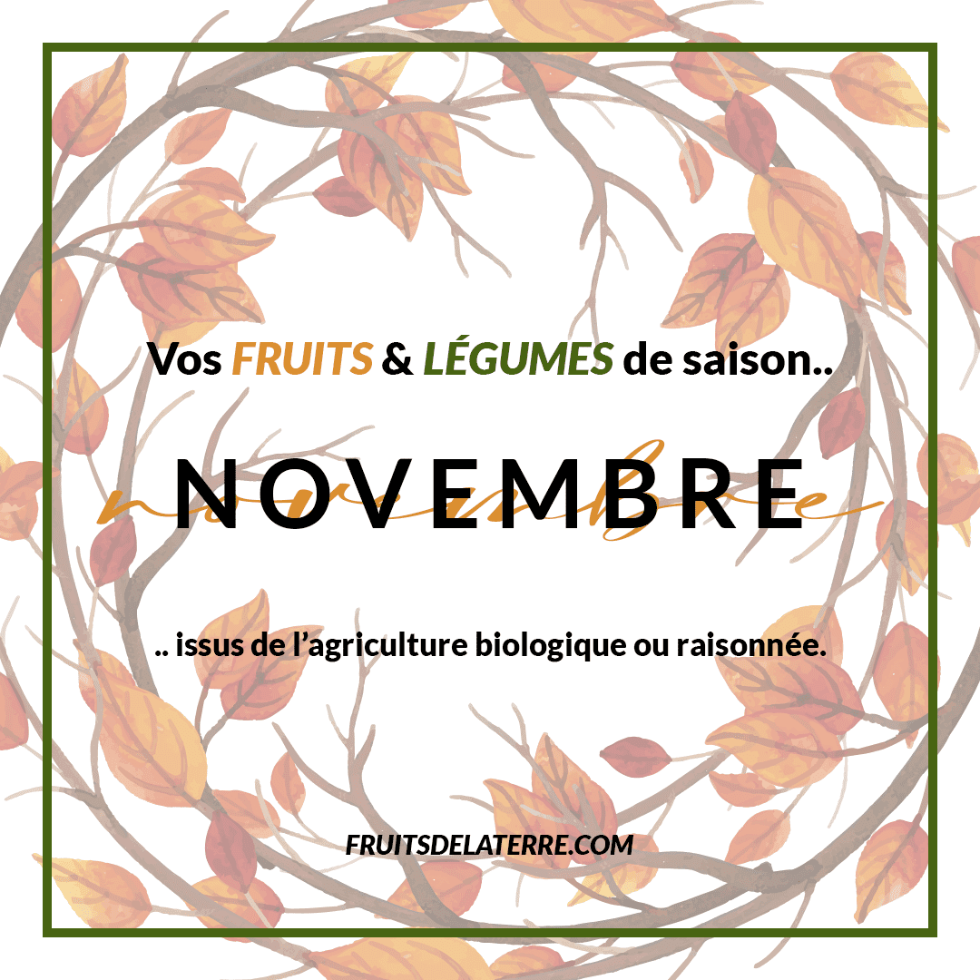 calendrier des saisons des fruits et légumes novembre