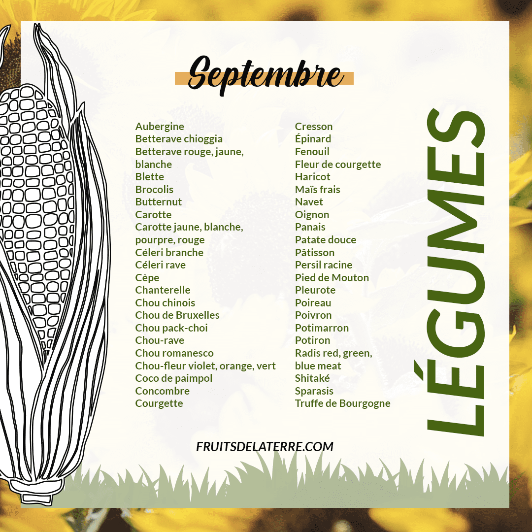 calendrier de saison des légumes de septembre